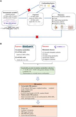 Assessment of causal relationships between omega-3 and omega-6 polyunsaturated fatty acids in autoimmune rheumatic diseases: a brief research report from a Mendelian randomization study